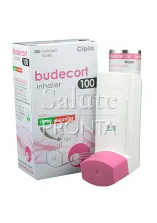 rhinocort
